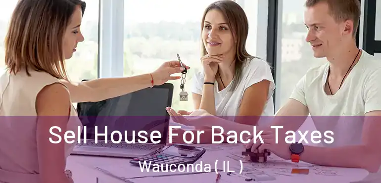  Sell House For Back Taxes Wauconda ( IL )