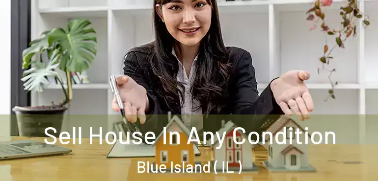  Sell House In Any Condition Blue Island ( IL )