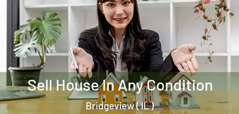  Sell House In Any Condition Bridgeview ( IL )