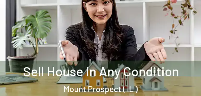  Sell House In Any Condition Mount Prospect ( IL )