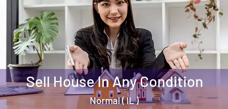  Sell House In Any Condition Normal ( IL )