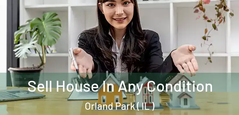  Sell House In Any Condition Orland Park ( IL )