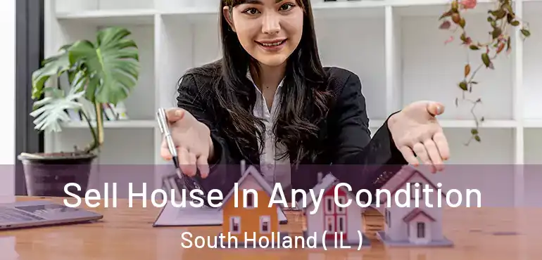  Sell House In Any Condition South Holland ( IL )