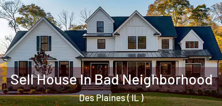  Sell House In Bad Neighborhood Des Plaines ( IL )