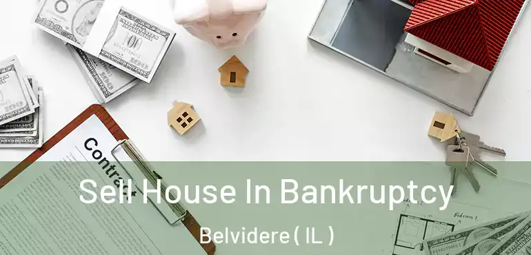  Sell House In Bankruptcy Belvidere ( IL )