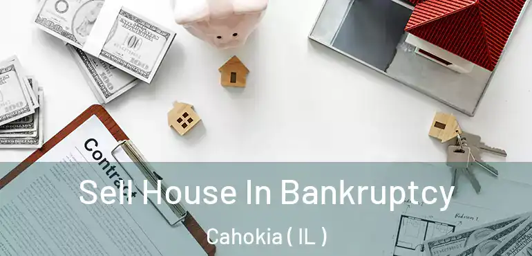  Sell House In Bankruptcy Cahokia ( IL )