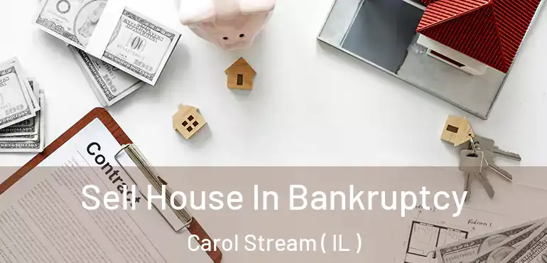  Sell House In Bankruptcy Carol Stream ( IL )