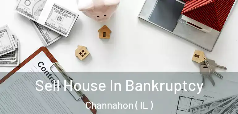  Sell House In Bankruptcy Channahon ( IL )