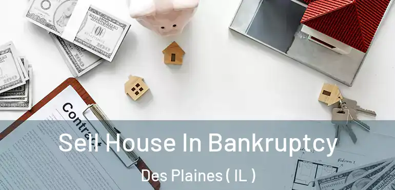  Sell House In Bankruptcy Des Plaines ( IL )