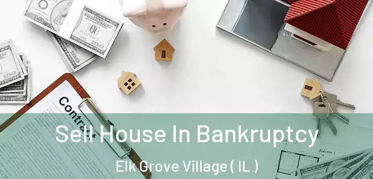  Sell House In Bankruptcy Elk Grove Village ( IL )