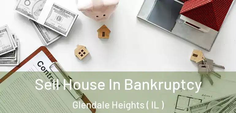  Sell House In Bankruptcy Glendale Heights ( IL )