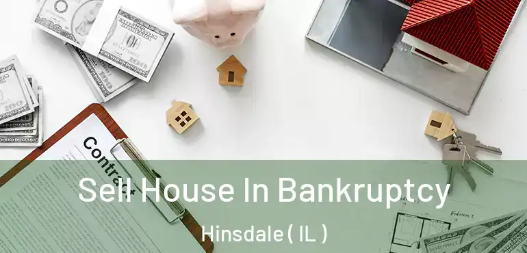  Sell House In Bankruptcy Hinsdale ( IL )
