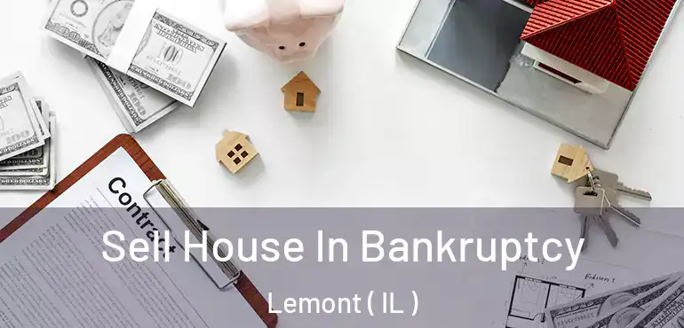  Sell House In Bankruptcy Lemont ( IL )
