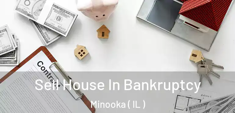  Sell House In Bankruptcy Minooka ( IL )