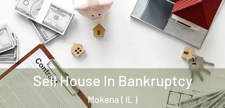  Sell House In Bankruptcy Mokena ( IL )