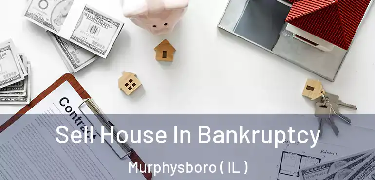  Sell House In Bankruptcy Murphysboro ( IL )
