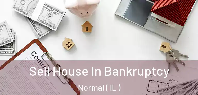  Sell House In Bankruptcy Normal ( IL )