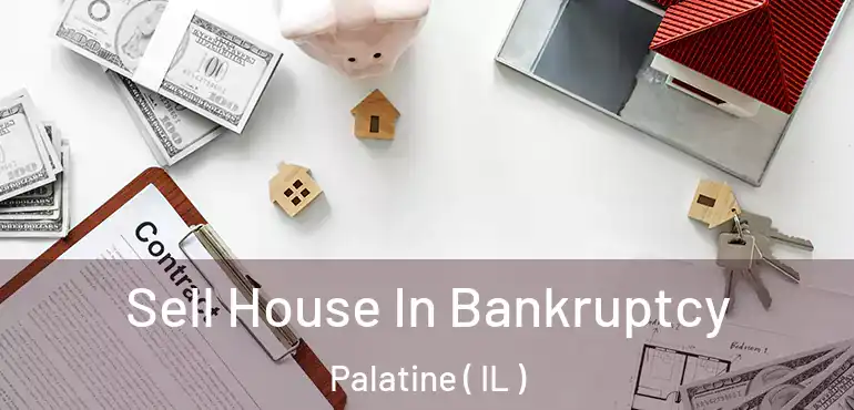  Sell House In Bankruptcy Palatine ( IL )