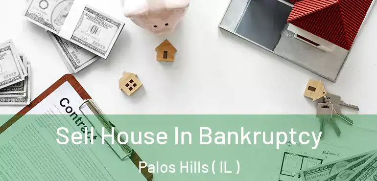  Sell House In Bankruptcy Palos Hills ( IL )