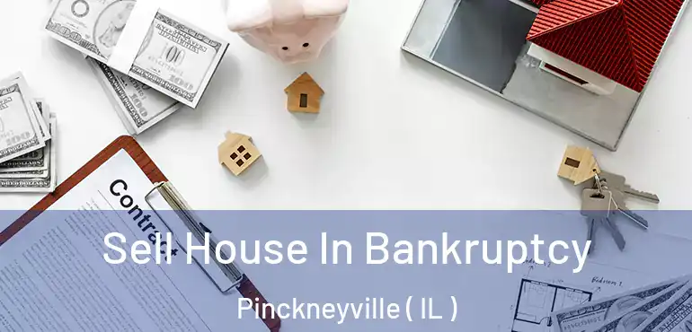  Sell House In Bankruptcy Pinckneyville ( IL )