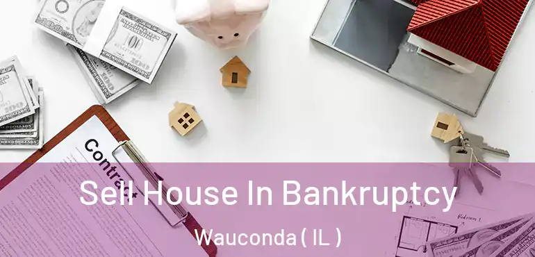  Sell House In Bankruptcy Wauconda ( IL )