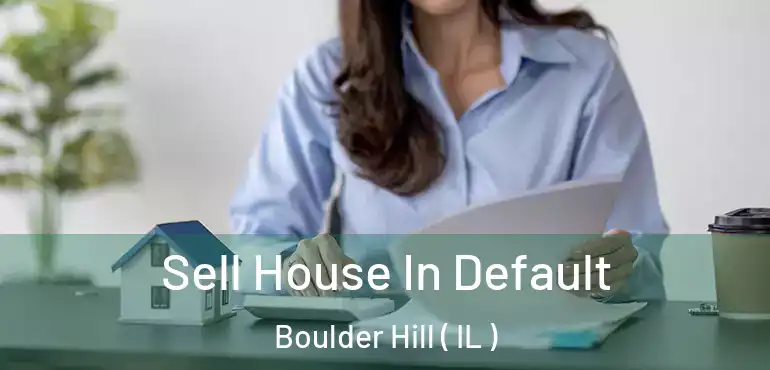  Sell House In Default Boulder Hill ( IL )