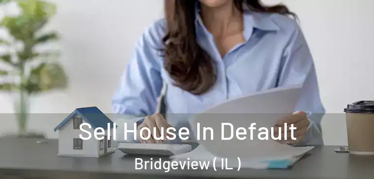  Sell House In Default Bridgeview ( IL )