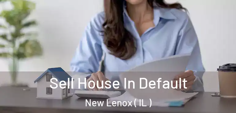  Sell House In Default New Lenox ( IL )