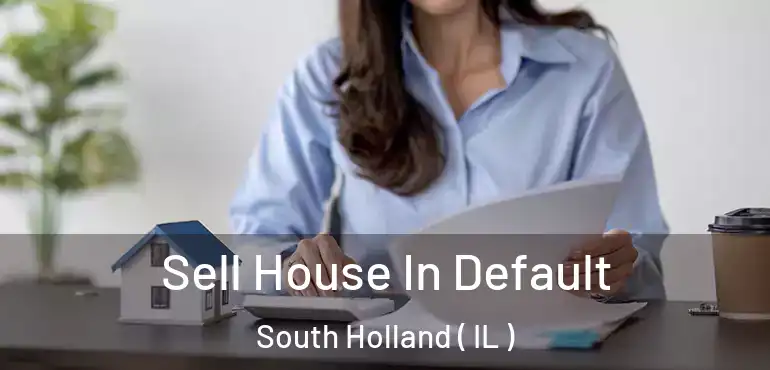  Sell House In Default South Holland ( IL )