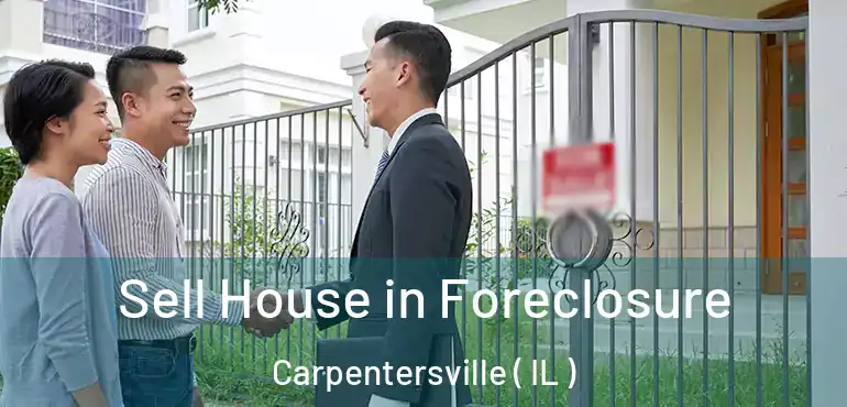  Sell House in Foreclosure Carpentersville ( IL )