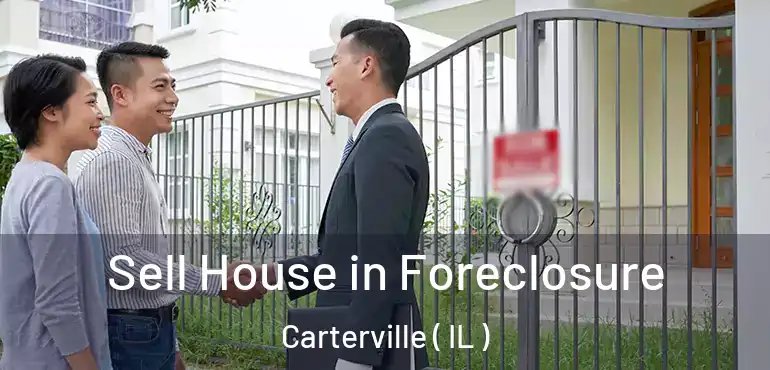 Sell House in Foreclosure Carterville ( IL )