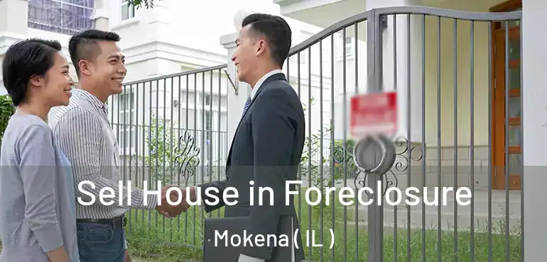  Sell House in Foreclosure Mokena ( IL )