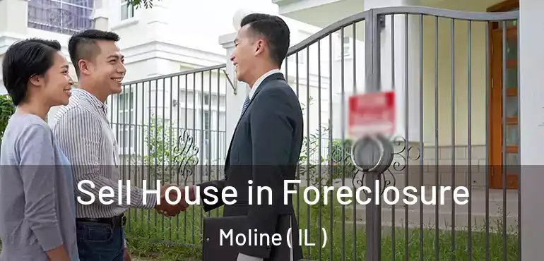  Sell House in Foreclosure Moline ( IL )