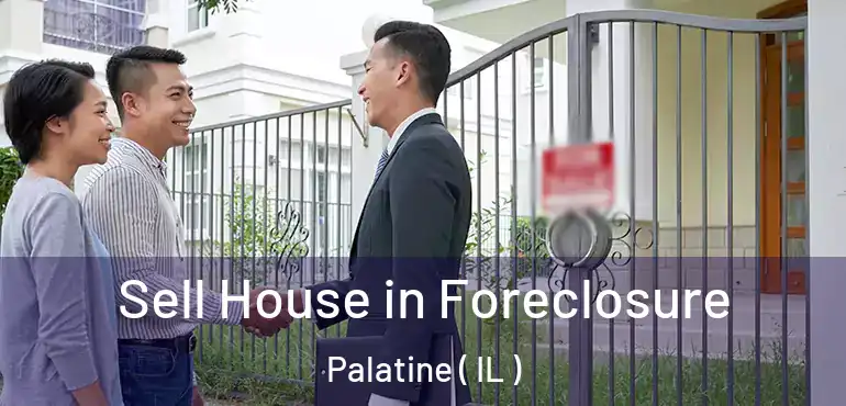  Sell House in Foreclosure Palatine ( IL )