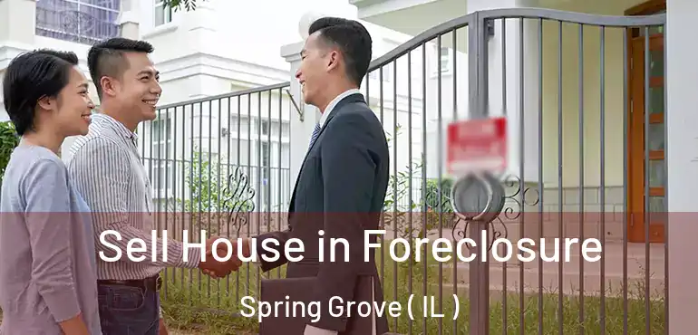  Sell House in Foreclosure Spring Grove ( IL )