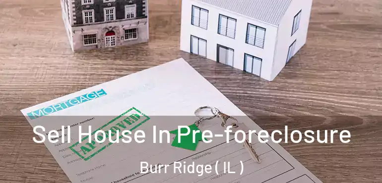  Sell House In Pre-foreclosure Burr Ridge ( IL )