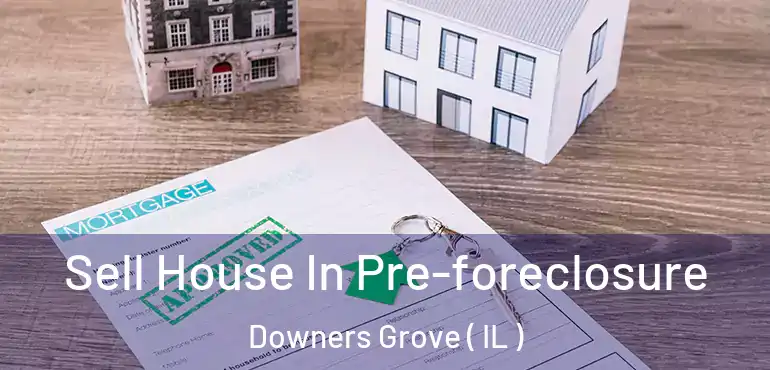  Sell House In Pre-foreclosure Downers Grove ( IL )