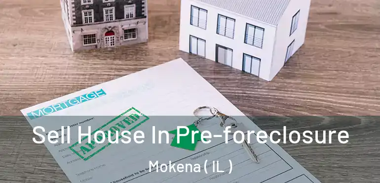  Sell House In Pre-foreclosure Mokena ( IL )