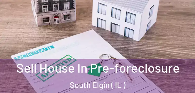  Sell House In Pre-foreclosure South Elgin ( IL )