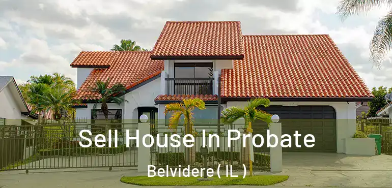  Sell House In Probate Belvidere ( IL )