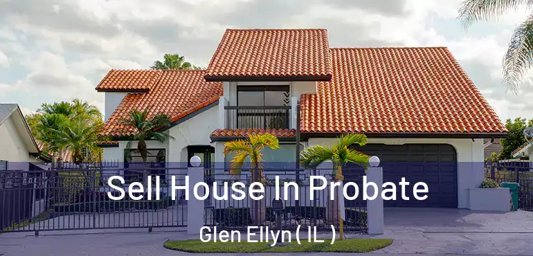  Sell House In Probate Glen Ellyn ( IL )