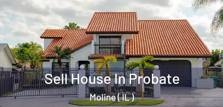  Sell House In Probate Moline ( IL )