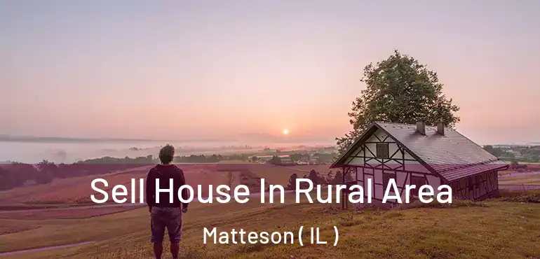  Sell House In Rural Area Matteson ( IL )