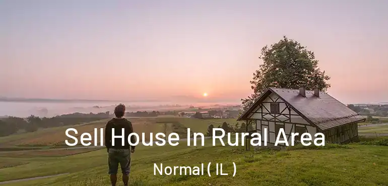  Sell House In Rural Area Normal ( IL )