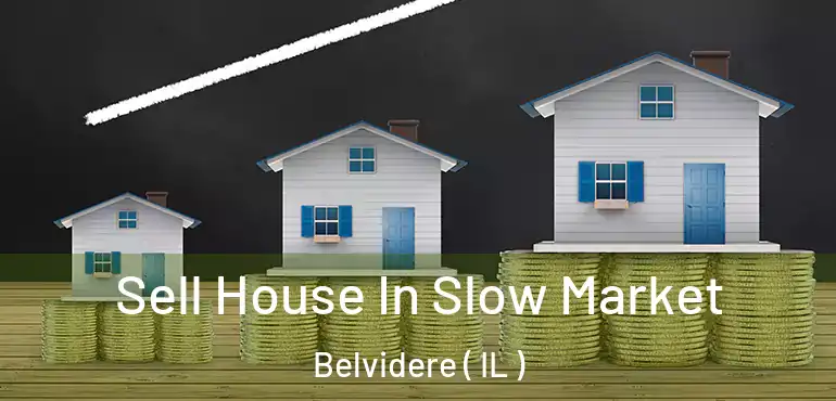  Sell House In Slow Market Belvidere ( IL )