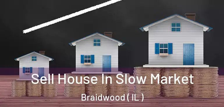  Sell House In Slow Market Braidwood ( IL )