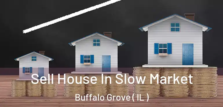  Sell House In Slow Market Buffalo Grove ( IL )
