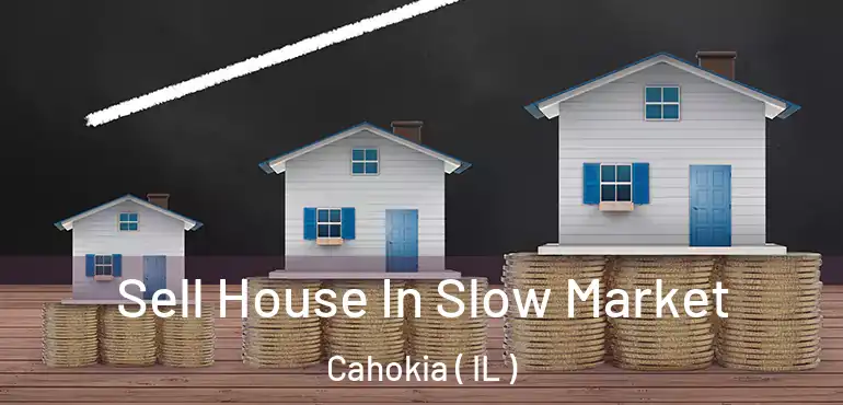  Sell House In Slow Market Cahokia ( IL )