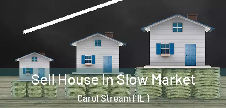  Sell House In Slow Market Carol Stream ( IL )