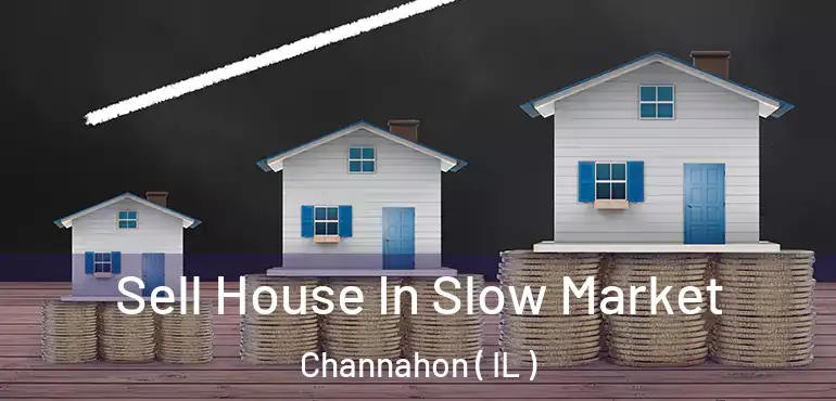  Sell House In Slow Market Channahon ( IL )